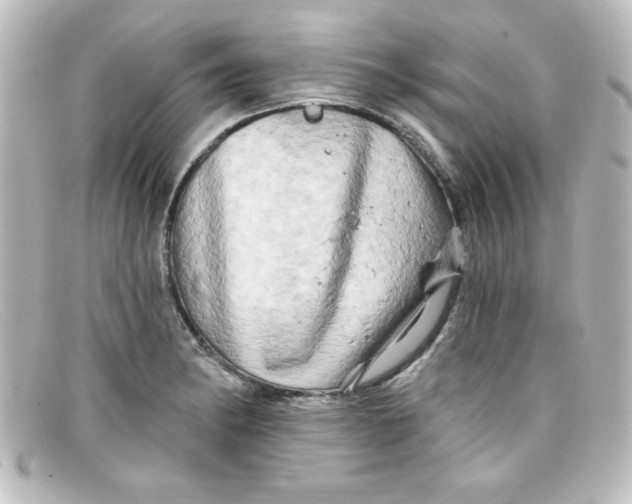 X0000098131182200805080952