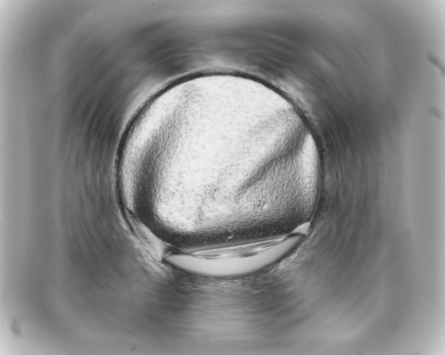 X0000098131183200805080952