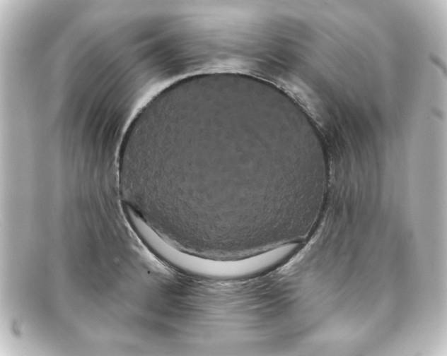 X0000098131184200805080952