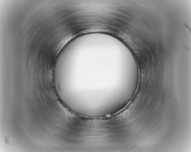 X0000098131185200805080952