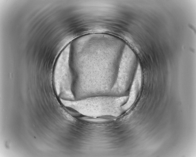 X0000098131186200805080952