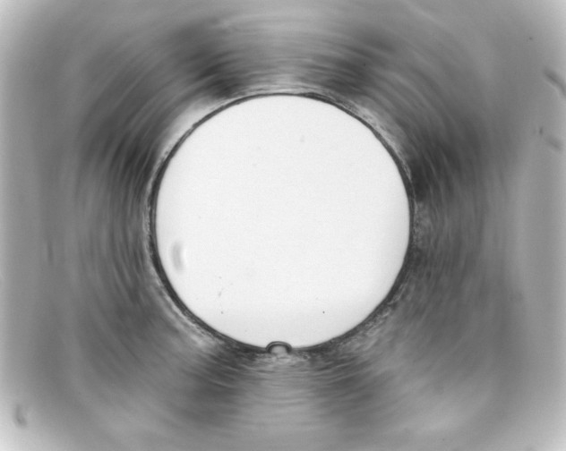 X0000098131187200805080952