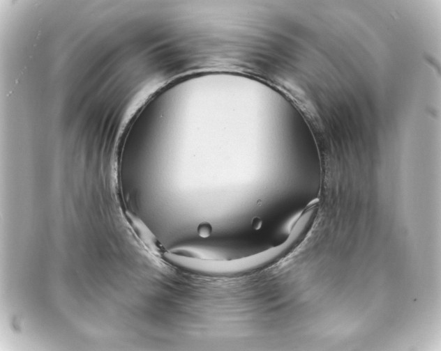 X0000098131188200805080952
