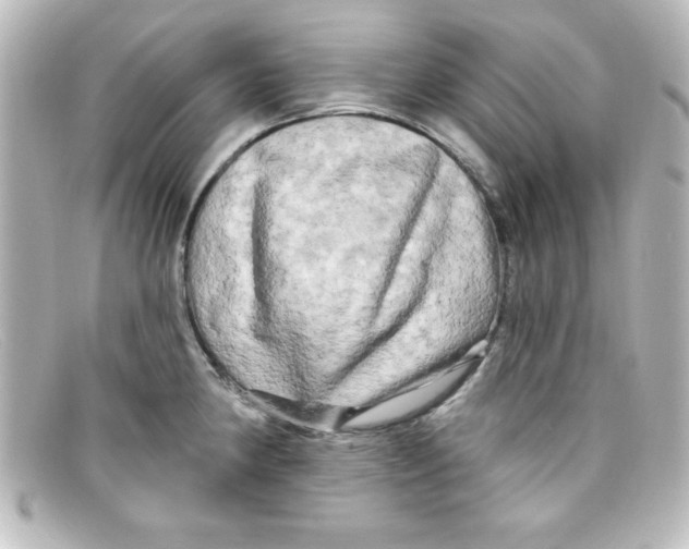 X0000098131190200805080952