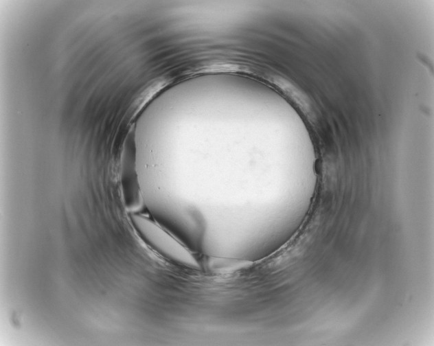 X0000098131193200805080952