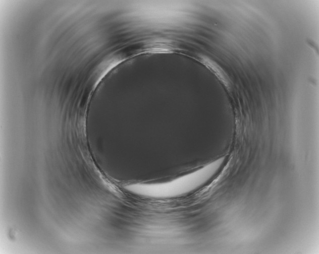 X0000098131194200805080952