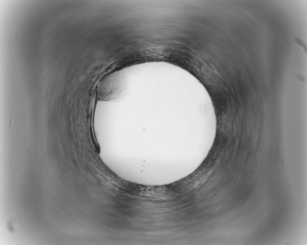 X0000098131201200805080951