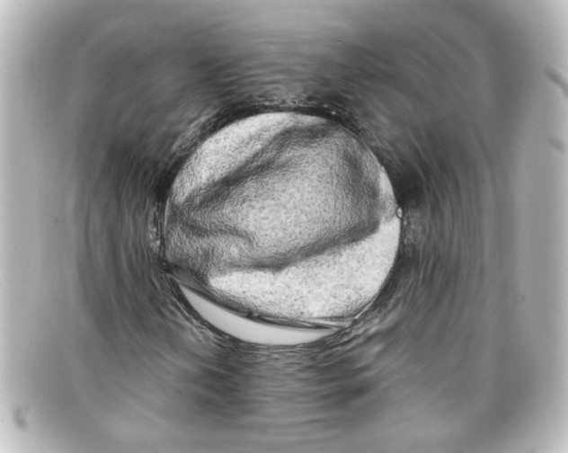 X0000098131202200805080951