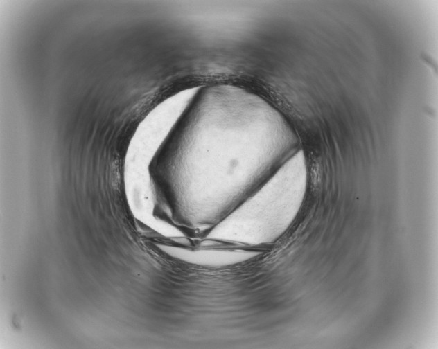 X0000098131204200805080951