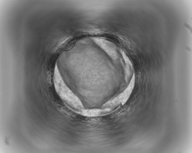 X0000098131205200805080951