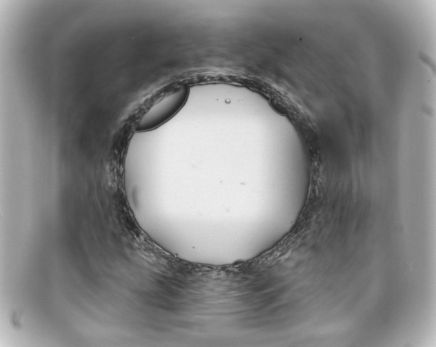 X0000098131207200805080951