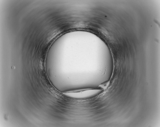 X0000098131209200805080951