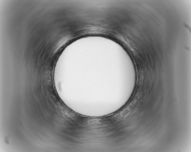 X0000098131211200805080951