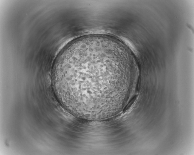 X0000098131212200805080951