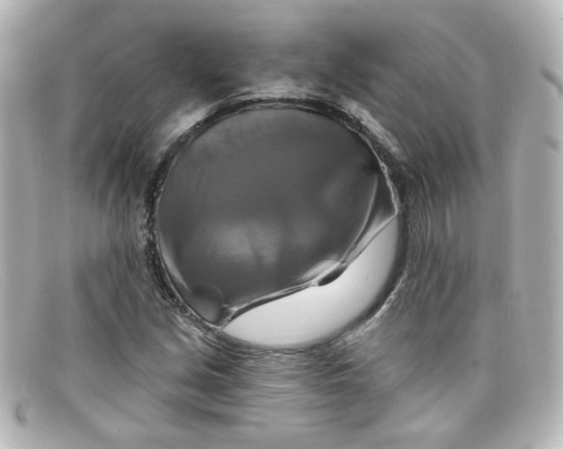 X0000098131213200805080951
