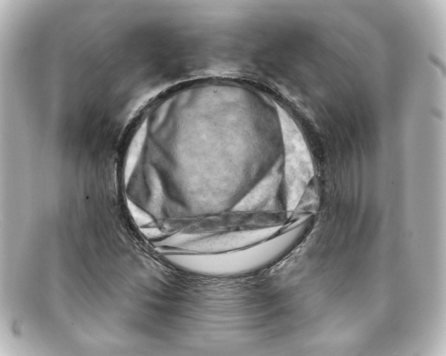X0000098131214200805080951