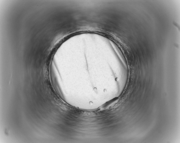 X0000098131215200805080951