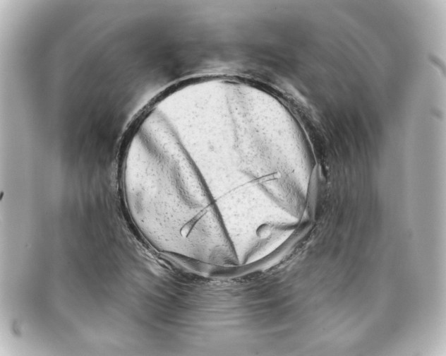X0000098131216200805080951