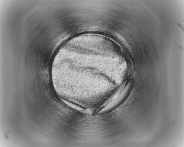 X0000098131218200805080951