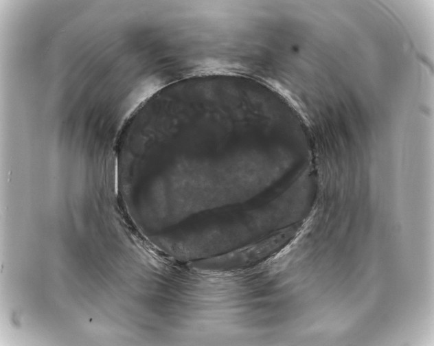 X0000098131219200805080951