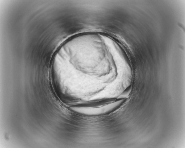 X0000098131220200805080951