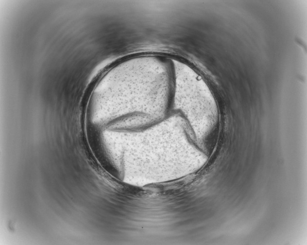 X0000098131222200805080951