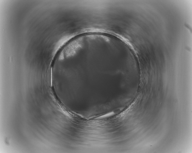X0000098131223200805080951