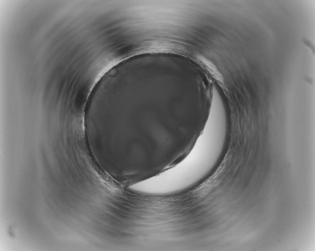 X0000098131226200805080951