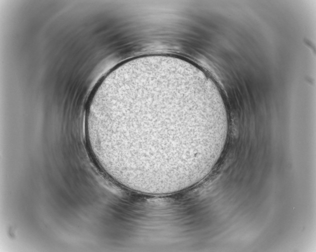 X0000098131227200805080951