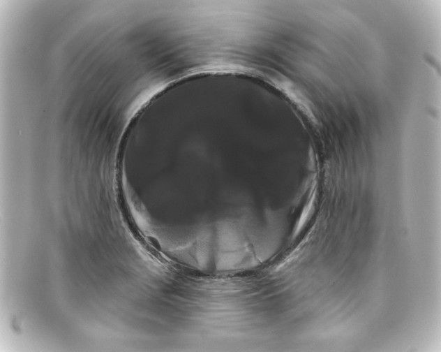 X0000098131229200805080951
