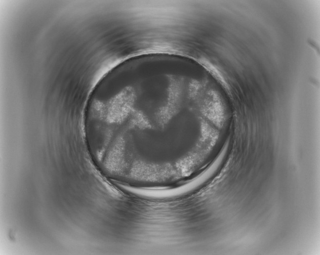 X0000098131230200805080951