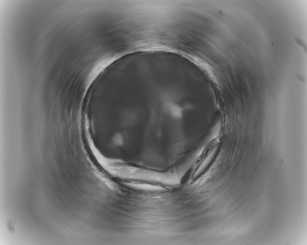 X0000098131231200805080951