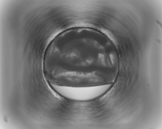X0000098131237200805080951