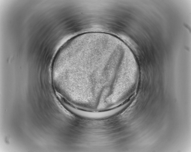 X0000098131238200805080951