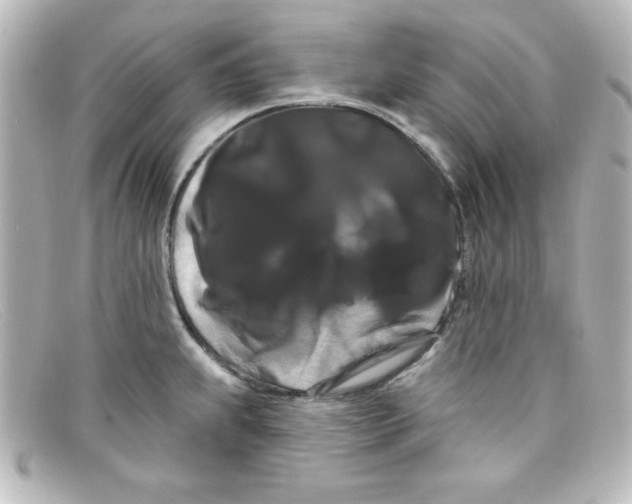 X0000098131239200805080951