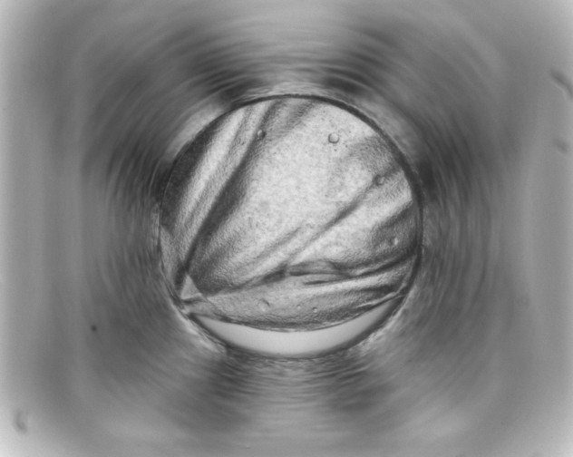 X0000098131241200805080952