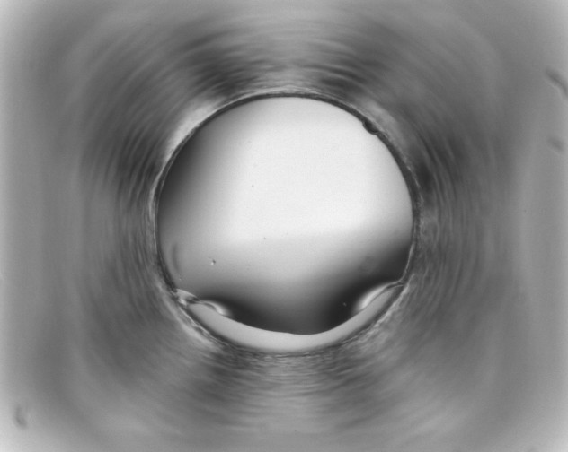X0000098131242200805080952