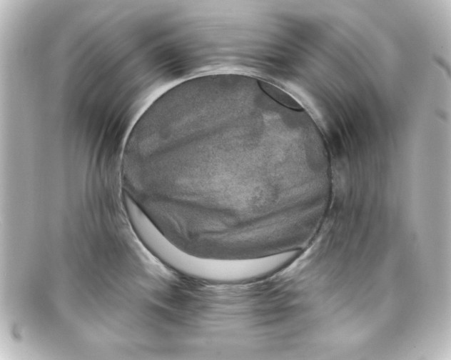 X0000098131244200805080952