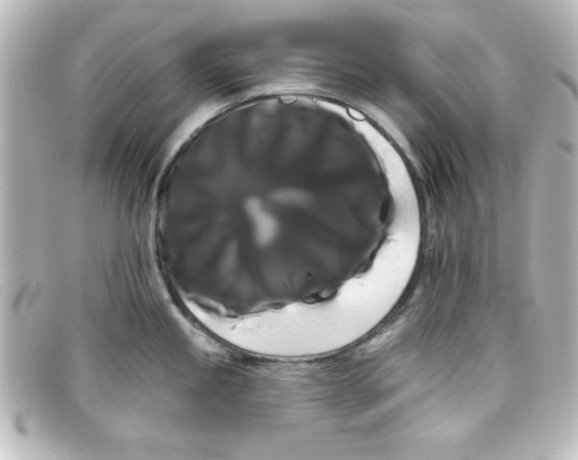 X0000098131245200805080952