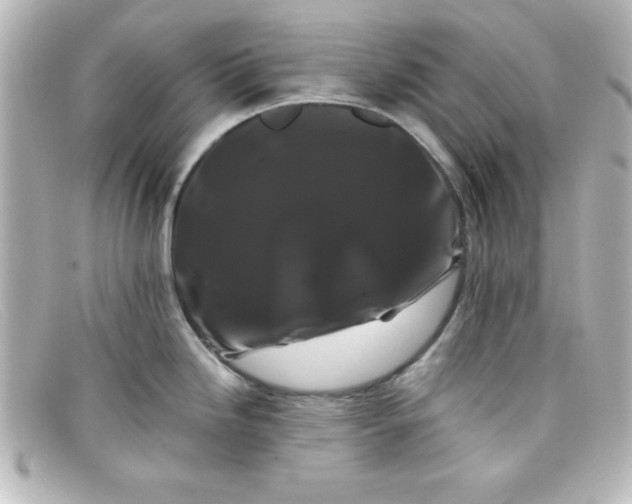 X0000098131246200805080952