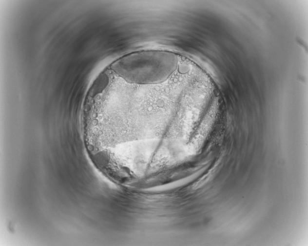 X0000098131247200805080952