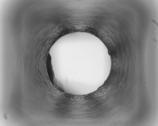 X0000098131249200805080951