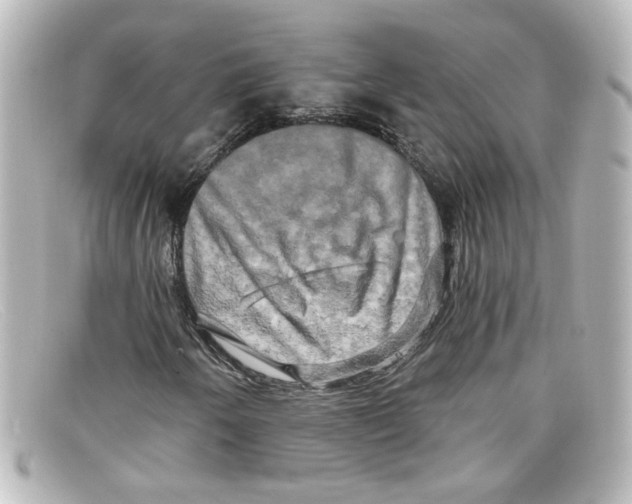 X0000098131250200805080951