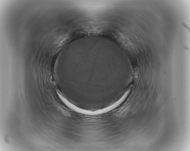 X0000098131252200805080951