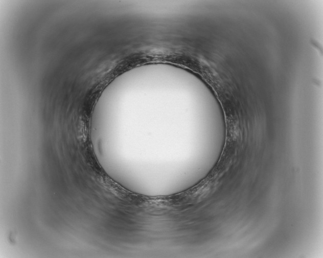 X0000098131253200805080951