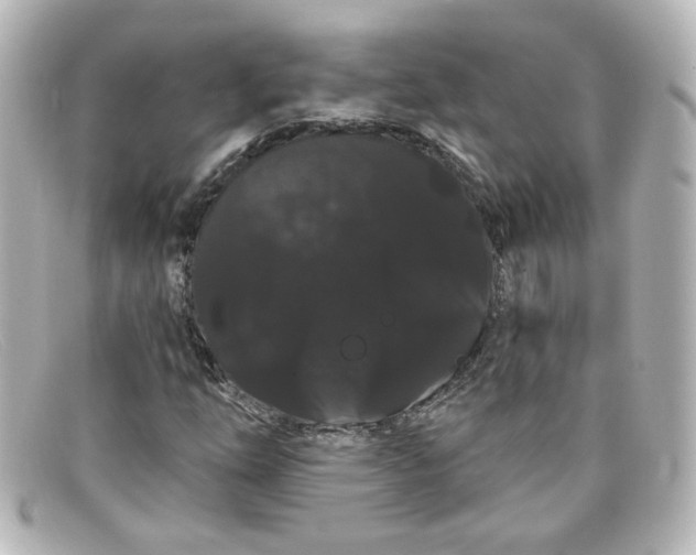 X0000098131254200805080951
