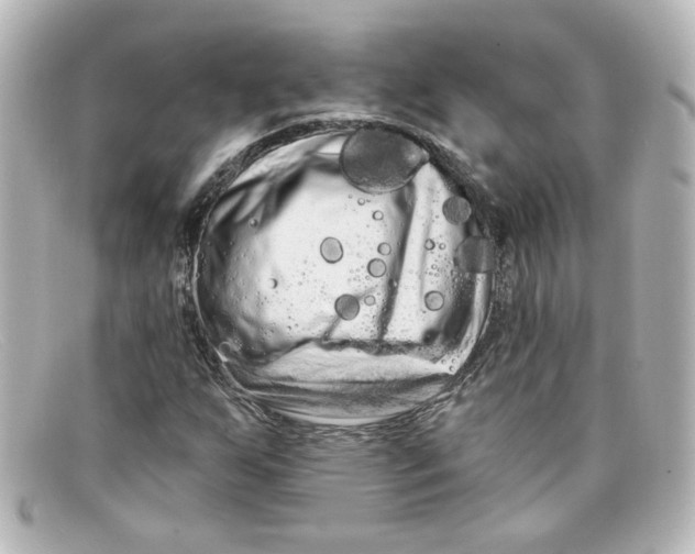 X0000098131255200805080951