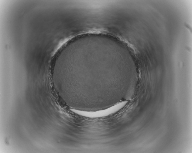 X0000098131256200805080951