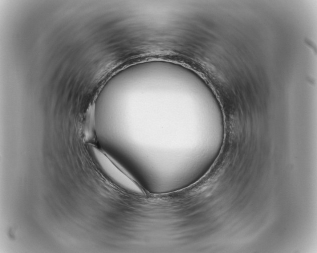 X0000098131257200805080951