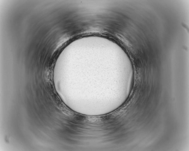 X0000098131258200805080951